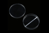 Placa de Petri de Plástico (Quarto Duplo)