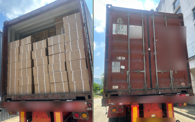 22640 Rolls Gesso de Exportador de bandagem de Paris para a Tailândia