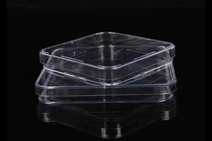Placa de Petri de plástico (quadrada)