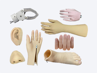 Membro prost&eacute;tico